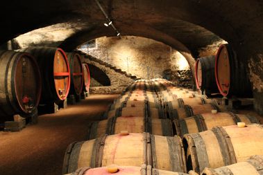 Château de Chaize
